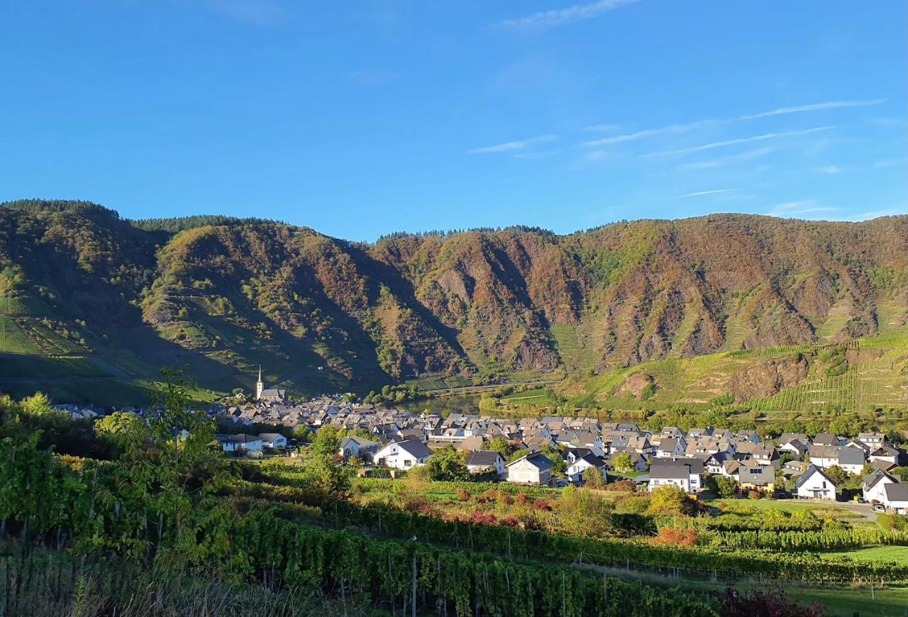 Attraktive Wohnung-Elztalidyll-Zwischen Mosel,Nuerburgring Und Burg Eltz Kollig Kültér fotó